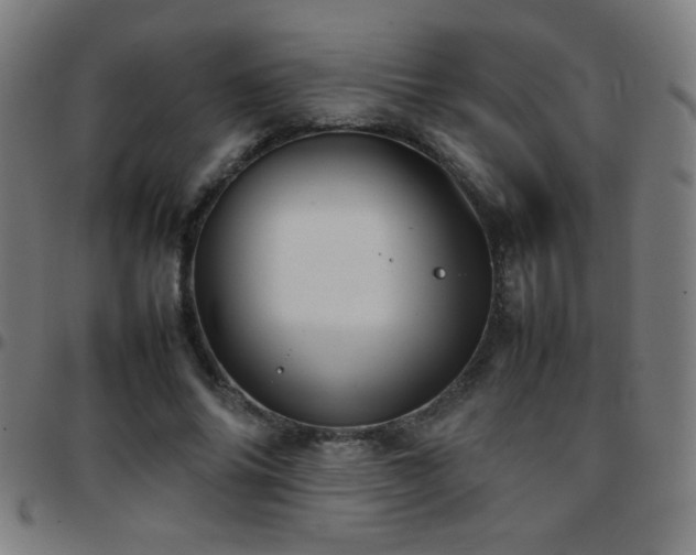 X0000097780686200803071350