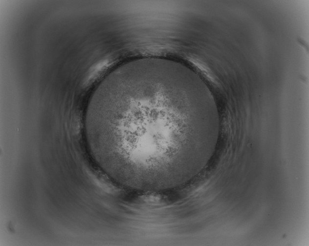 X0000097780687200803071350