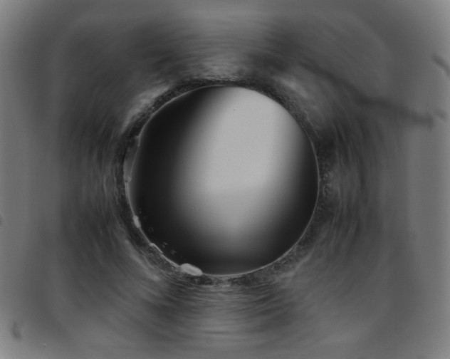 X0000097780688200803071350