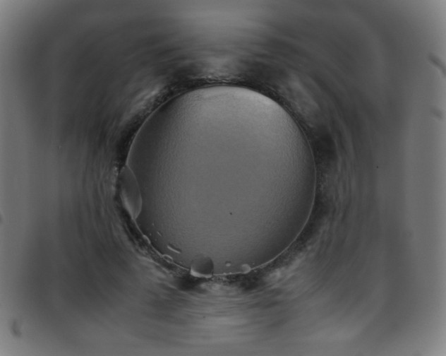 X0000097780689200803071350