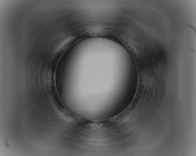 X0000097780690200803071350