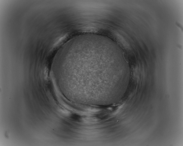 X0000097780692200803071350