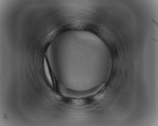X0000097780693200803071350