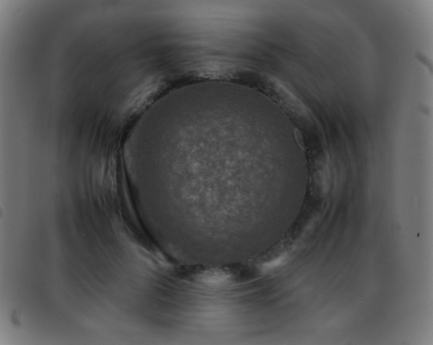 X0000097780696200803071350