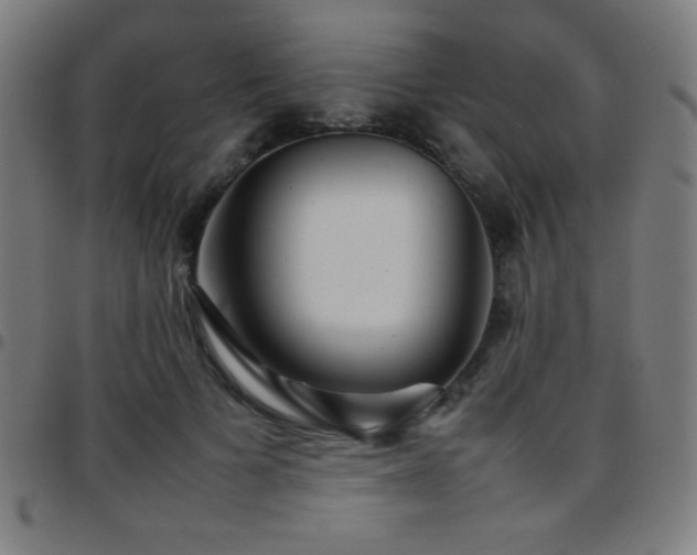 X0000097780697200803071350