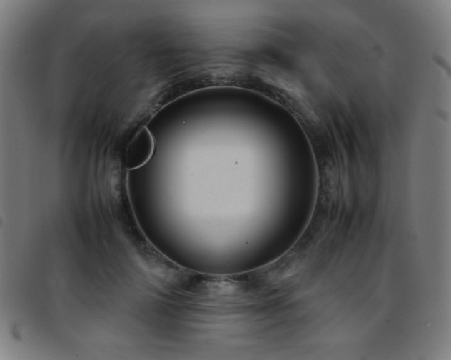 X0000097780698200803071349