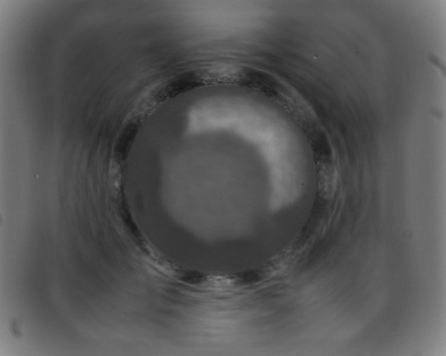 X0000097780701200803071349