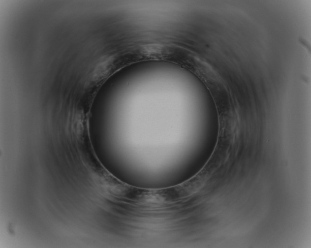 X0000097780702200803071349