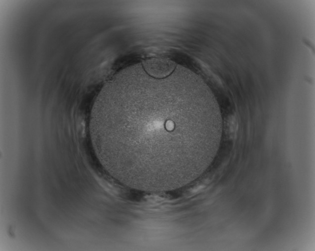 X0000097780703200803071349