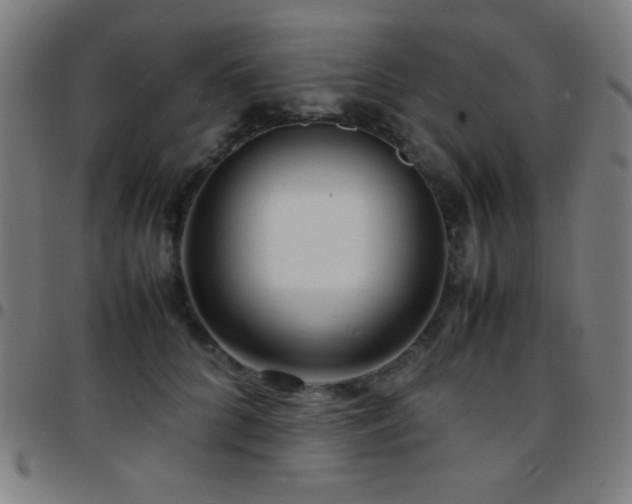 X0000097780704200803071349