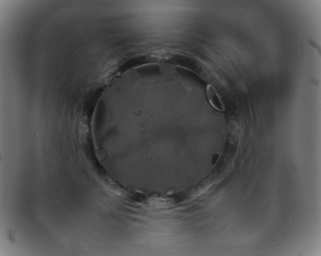 X0000097780707200803071349