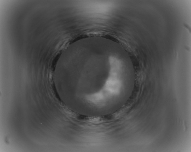 X0000097780709200803071349