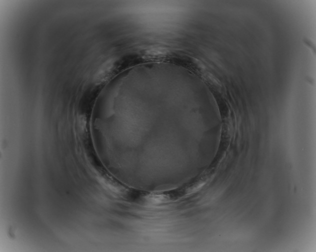 X0000097780711200803071349
