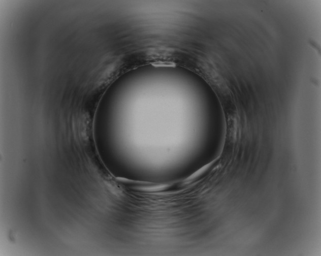 X0000097780712200803071349