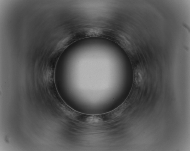 X0000097780714200803071349