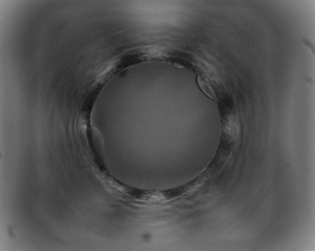 X0000097780715200803071349