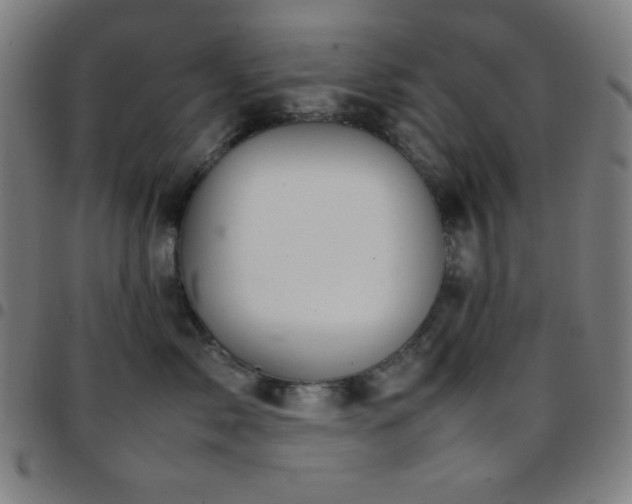 X0000097780717200803071349