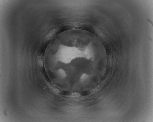 X0000097780719200803071349