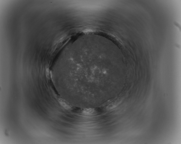 X0000097780720200803071349
