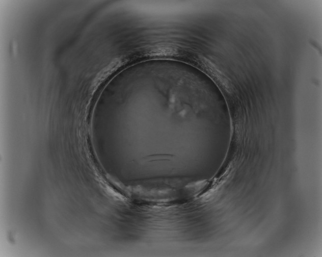 X0000097780721200803071348