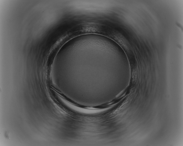 X0000097780722200803071348