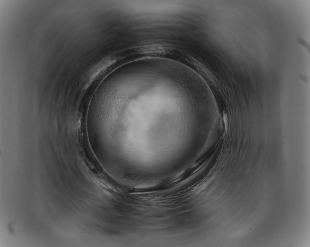 X0000097780723200803071348