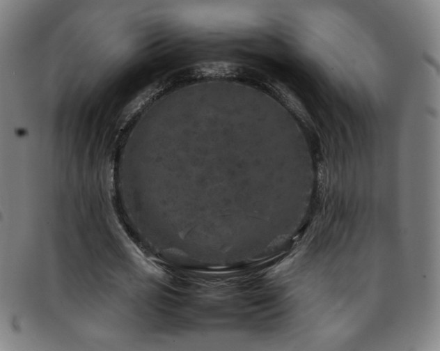 X0000097780725200803071348