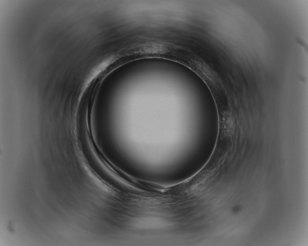 X0000097780726200803071348