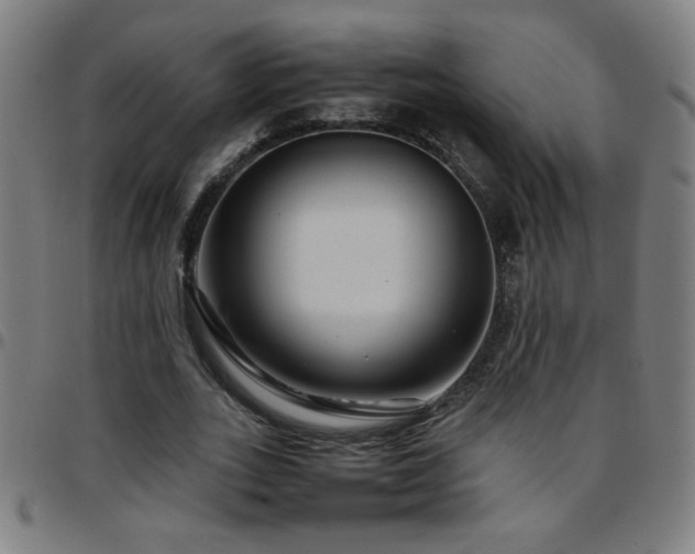 X0000097780727200803071348