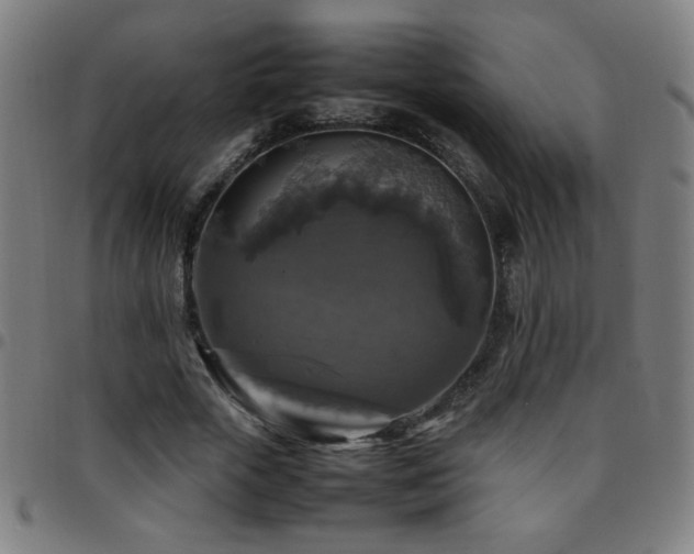 X0000097780729200803071348