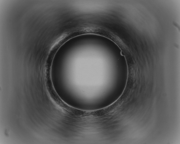 X0000097780730200803071348