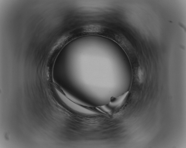 X0000097780731200803071349