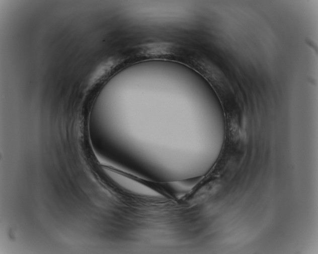 X0000097780732200803071349