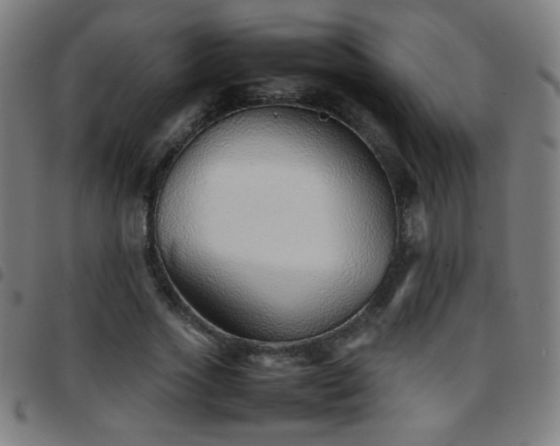X0000097780733200803071349