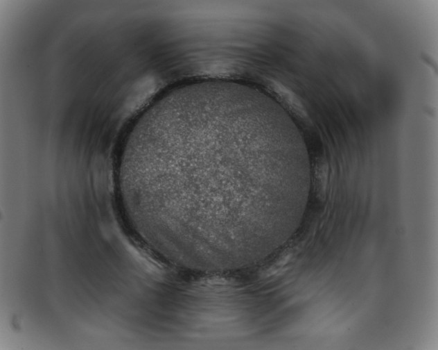 X0000097780734200803071349