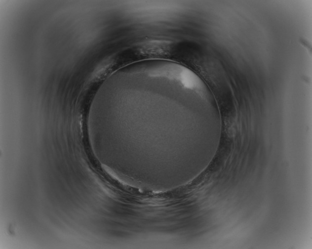 X0000097780735200803071349