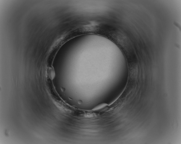 X0000097780736200803071349
