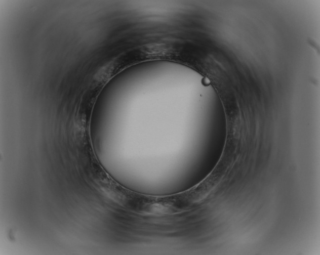 X0000097780737200803071349