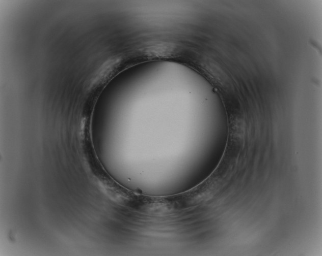 X0000097780738200803071349