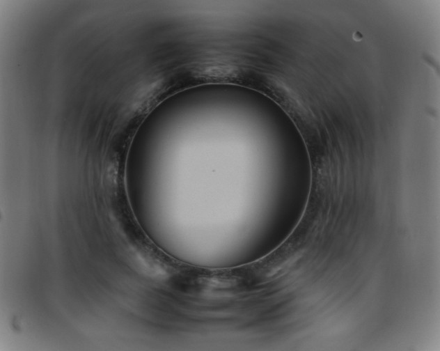 X0000097780739200803071349