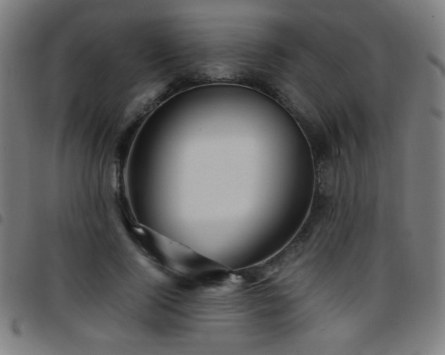 X0000097780740200803071349