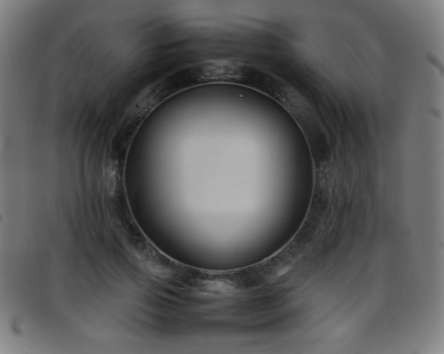 X0000097780741200803071349