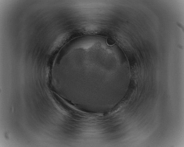 X0000097780742200803071349