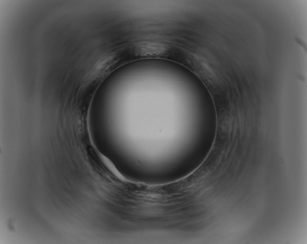 X0000097780743200803071349