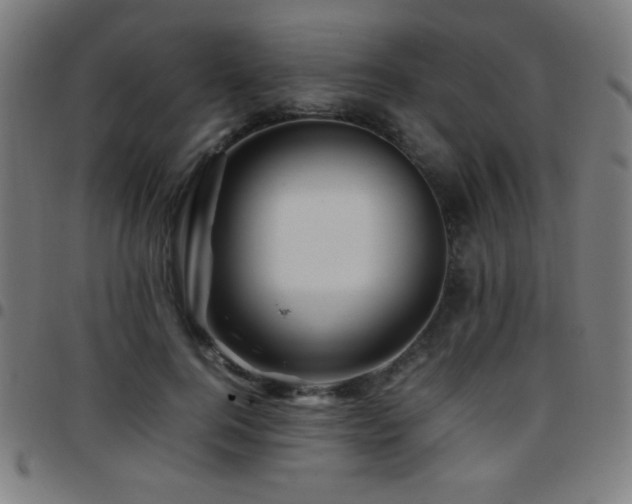 X0000097780744200803071349
