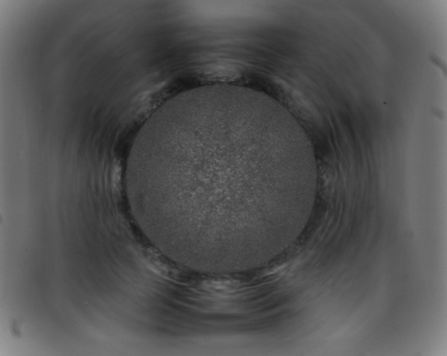X0000097780745200803071349