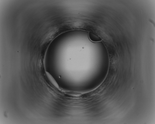 X0000097780746200803071349