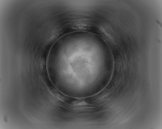 X0000097780747200803071349