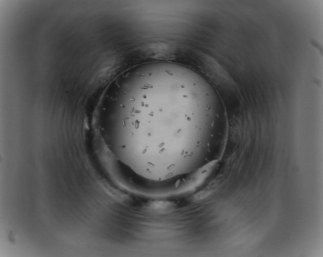 X0000097780748200803071349
