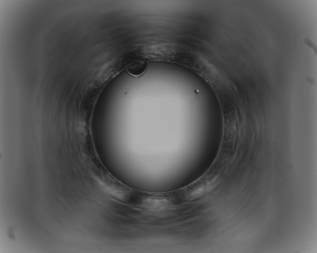 X0000097780749200803071349